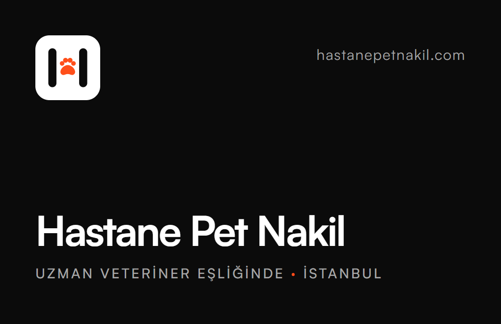 Kartvizit ön yüzü: Hastane Pet Nakil
